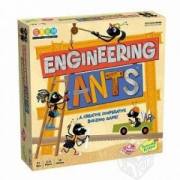 螞蟻工程師